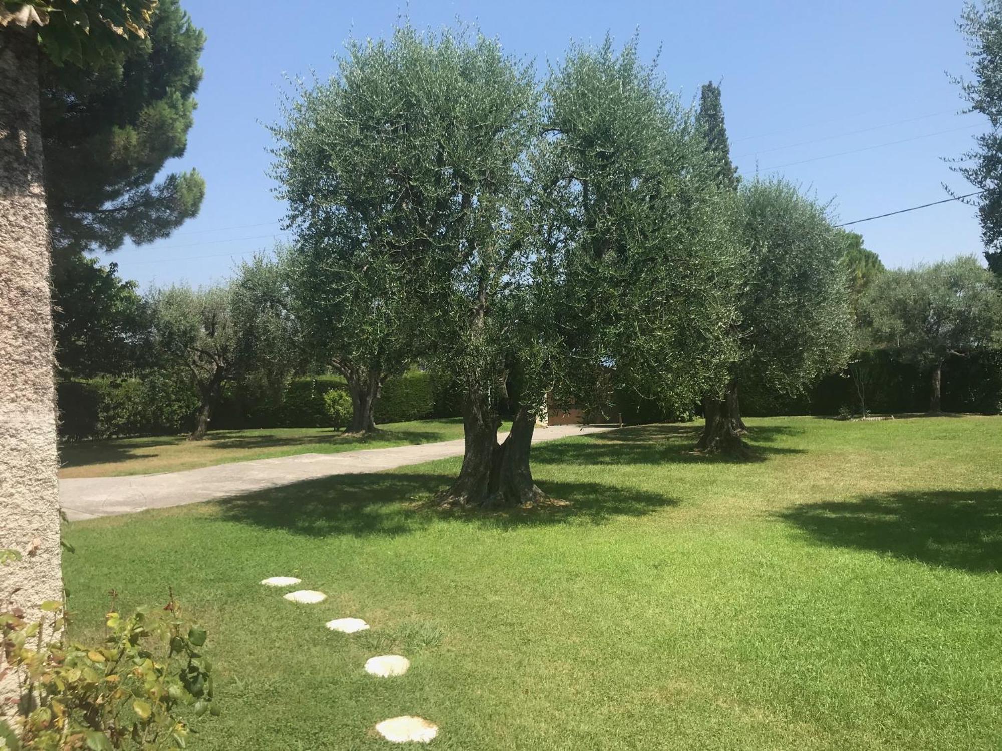 Magnifique Villa Moderne Avec Piscine La Gaude Exterior foto